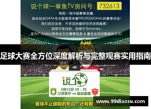足球大赛全方位深度解析与完整观赛实用指南